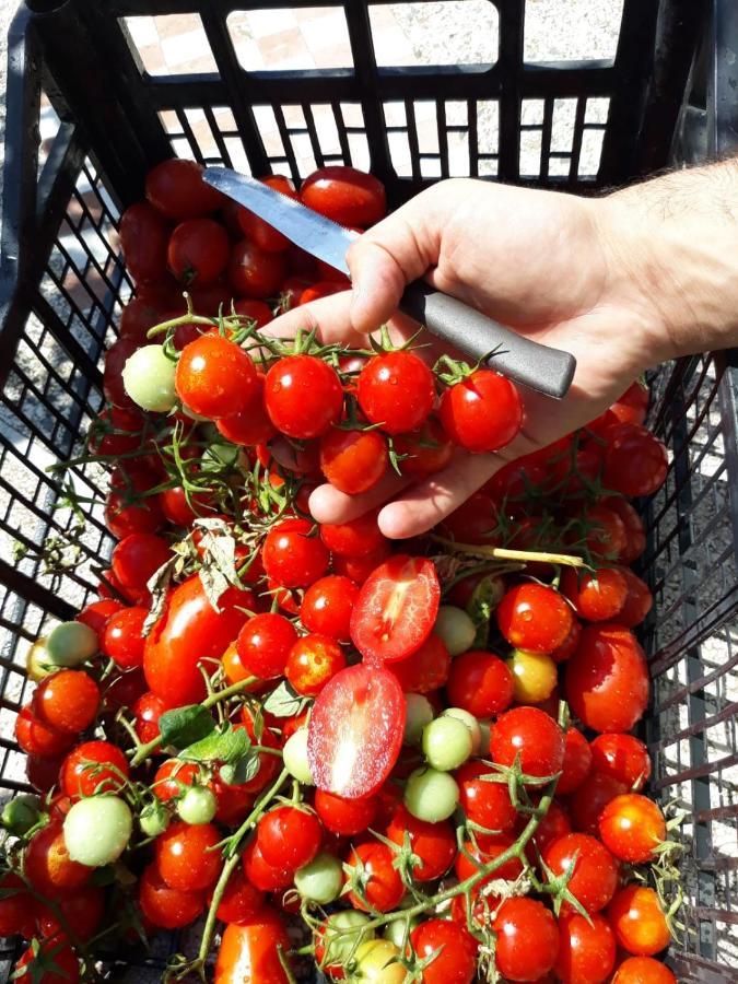 Agriturismo Il Pettirosso Agerola Eksteriør billede