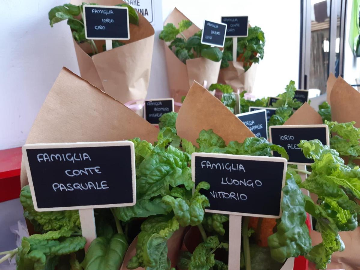 Agriturismo Il Pettirosso Agerola Eksteriør billede